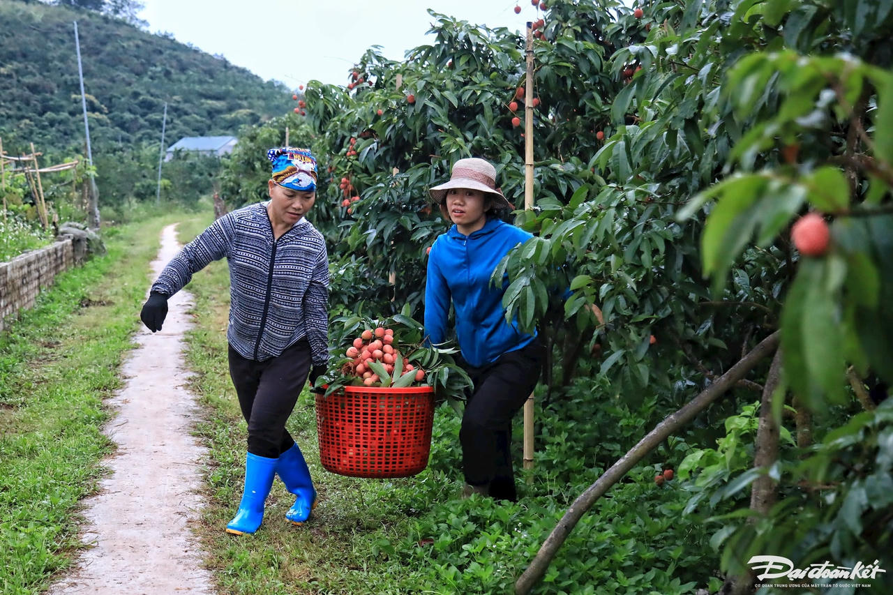 vai_thieu-le-khanh22.jpg