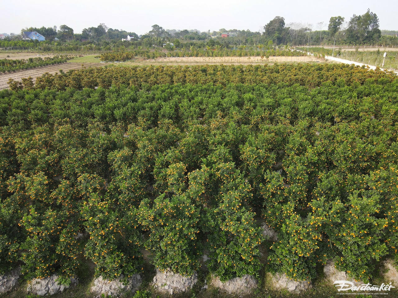 W_dji_fly_20240105_151250_406_1704442397230_photo.jpg
