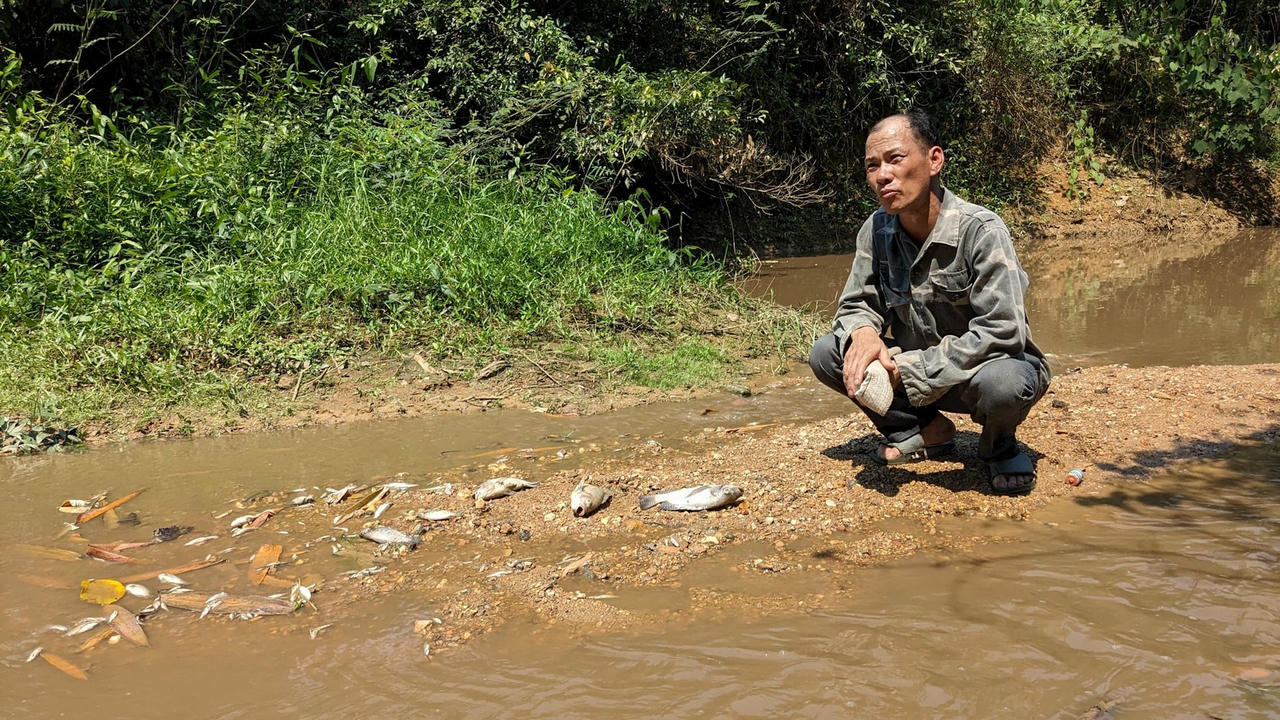 1-ca-khe-rao-truong-bi-chet.jpg