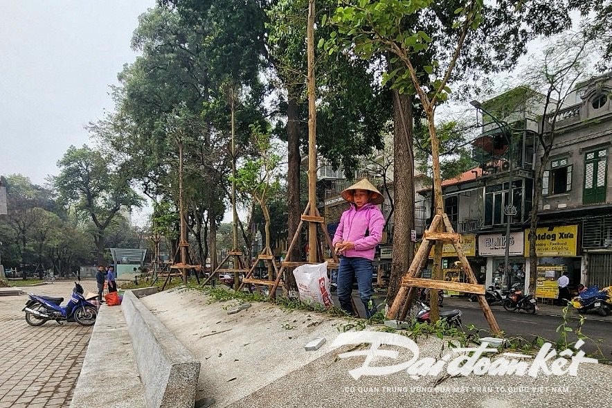 W_vuon_hoa_hang_dau-le-khanh6.jpg