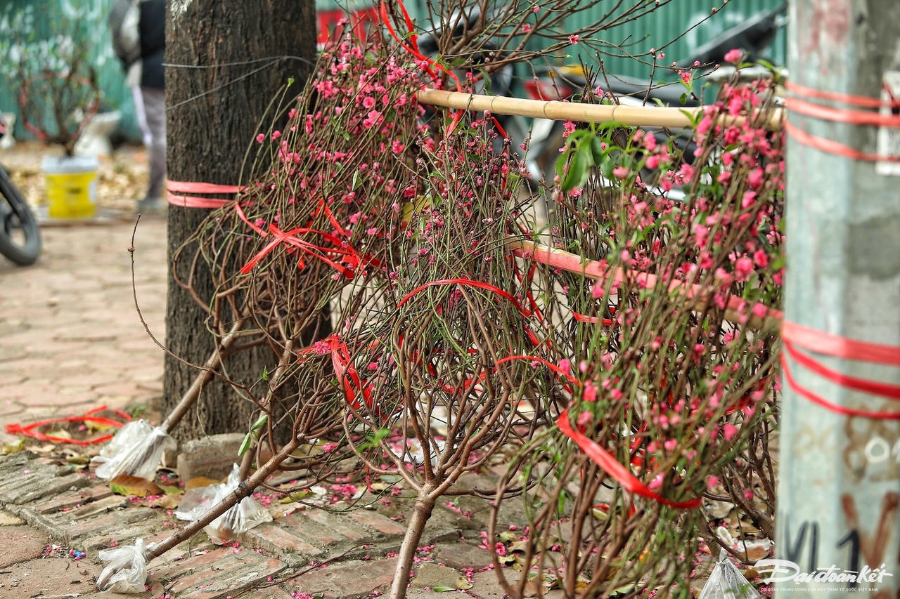 W_dao_quat_xa_lo-le-khanh3.jpg