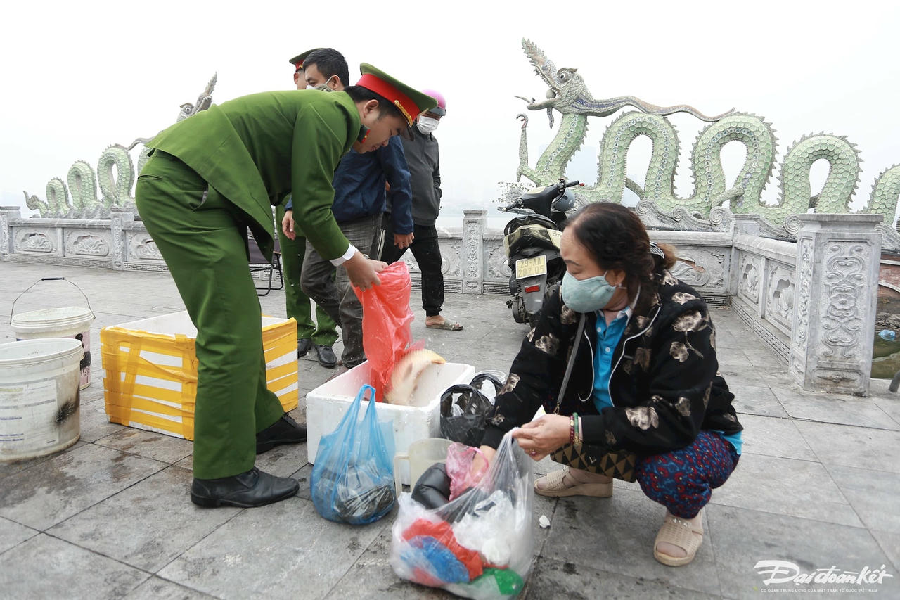 ca_chep_vang-le-khanh24.jpg
