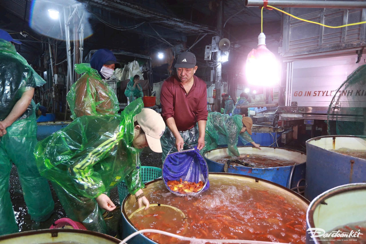 ca_chep-le-khanh24.jpg