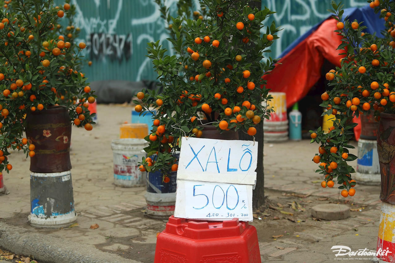 W_dao_quat_xa_lo-le-khanh9.jpg