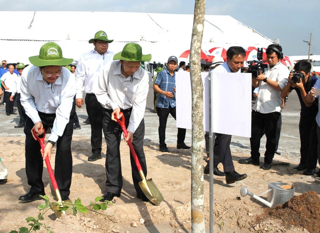hinh-4-ptt-trong-cay-17474543270061055577014.jpg