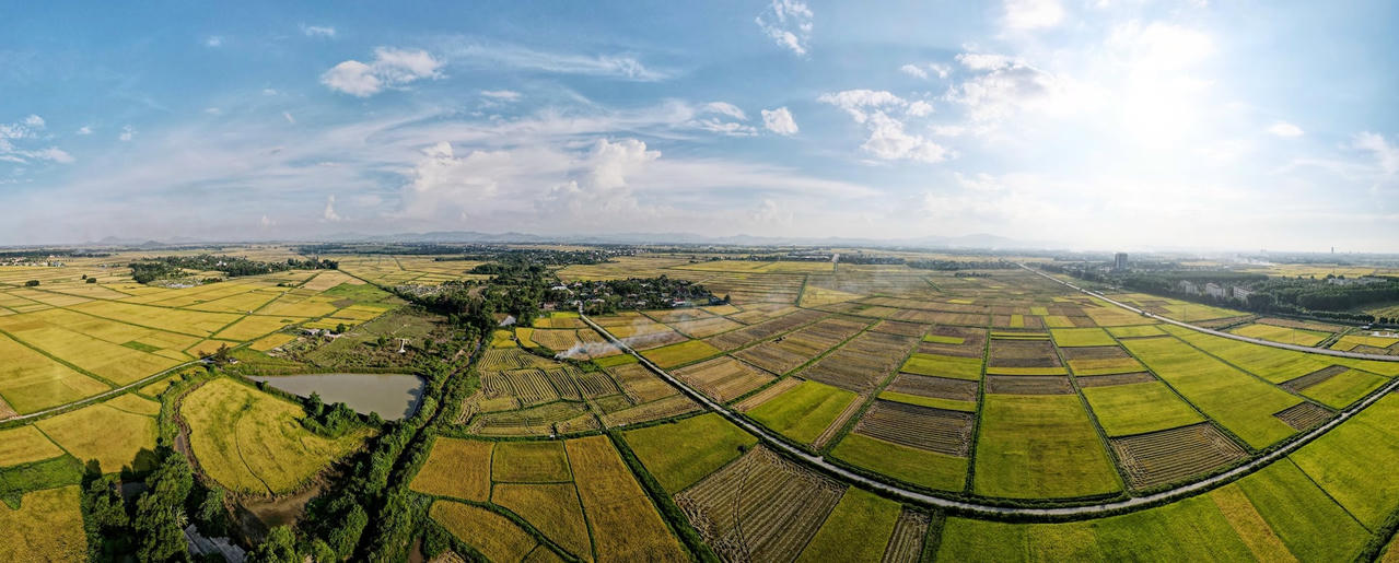 dji_0841.jpg
