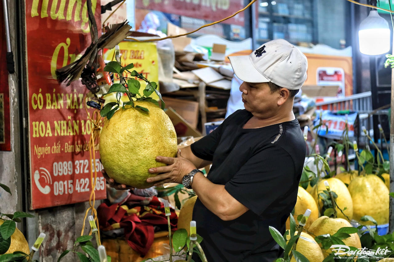 W_bong_ky_da-le-khanh6.jpg