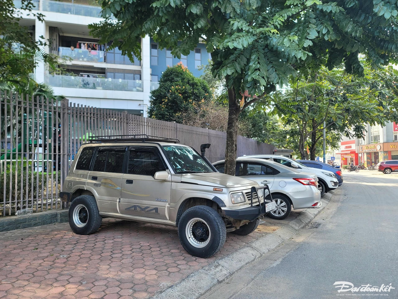 W_68ab5d646594cdca9485.jpg