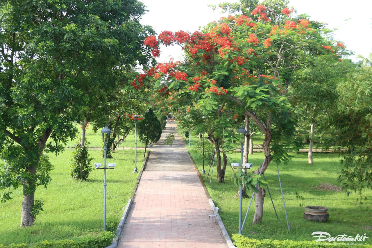 6-thanh-co.jpg