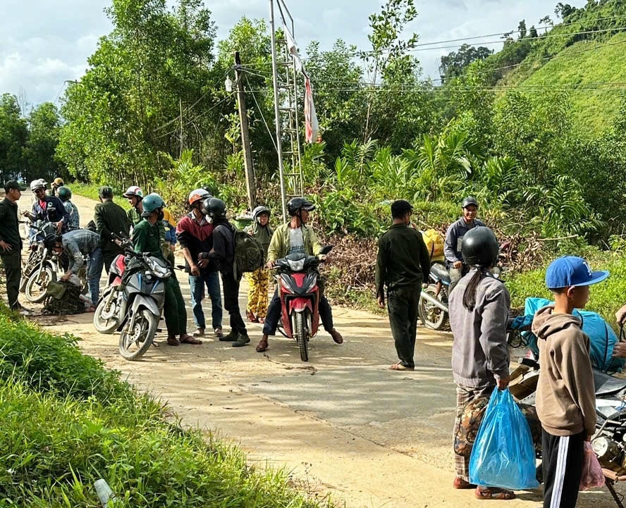 ảnh 1 bài trên