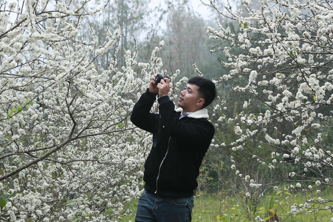 W_anh-truong-manh-hung-khu-binh-cong-i-thi-tran-binh-lieu-khi-nam-thong-tin-hoa-man-bung-no-da-cung-nhom-ban-den-de-chup-anh-quang-ba-ve-dep-loai-hoa-nay-den-voi-ban-be-du-khach.jpg
