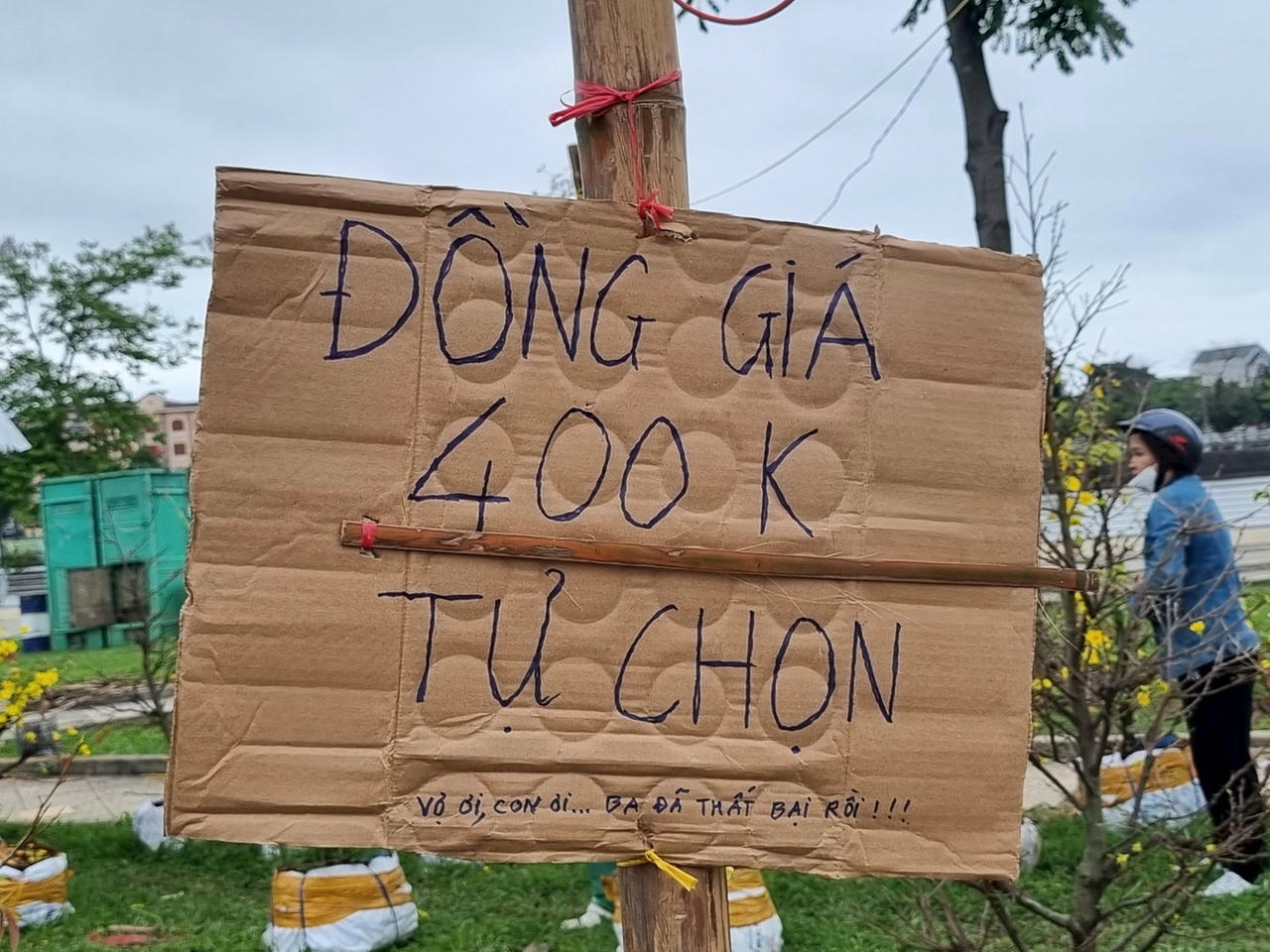 anh-2.jpg