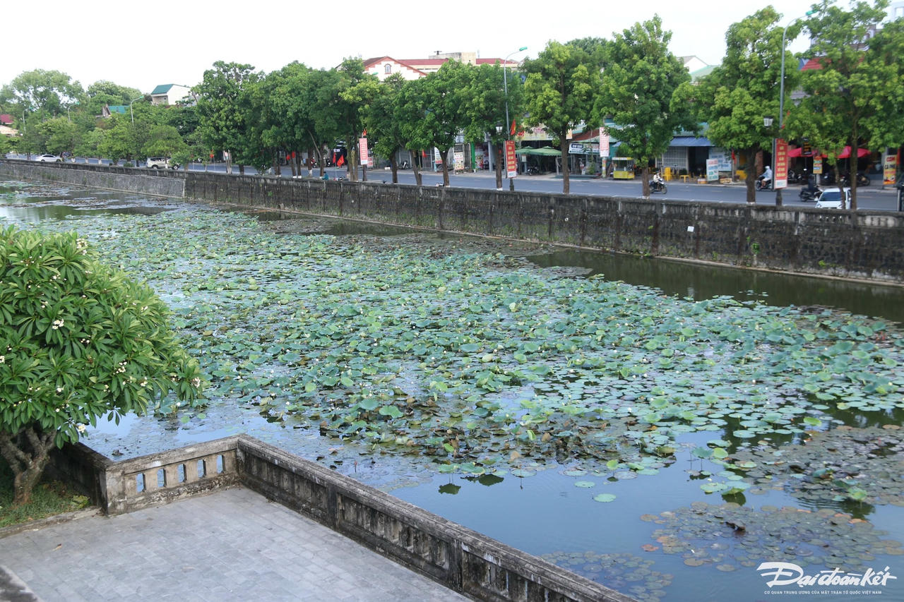 4-thanh-co.jpg