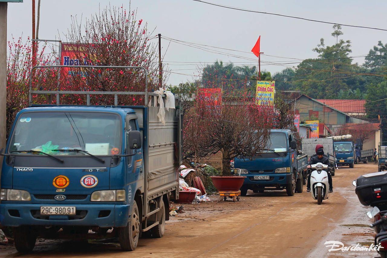 W_dao_nhat_tan-le-khanh14.jpg