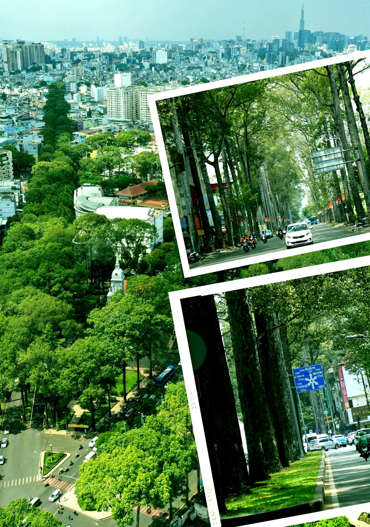 anh-6-1655ac95ad91d4a5ac26171a81a02226.png