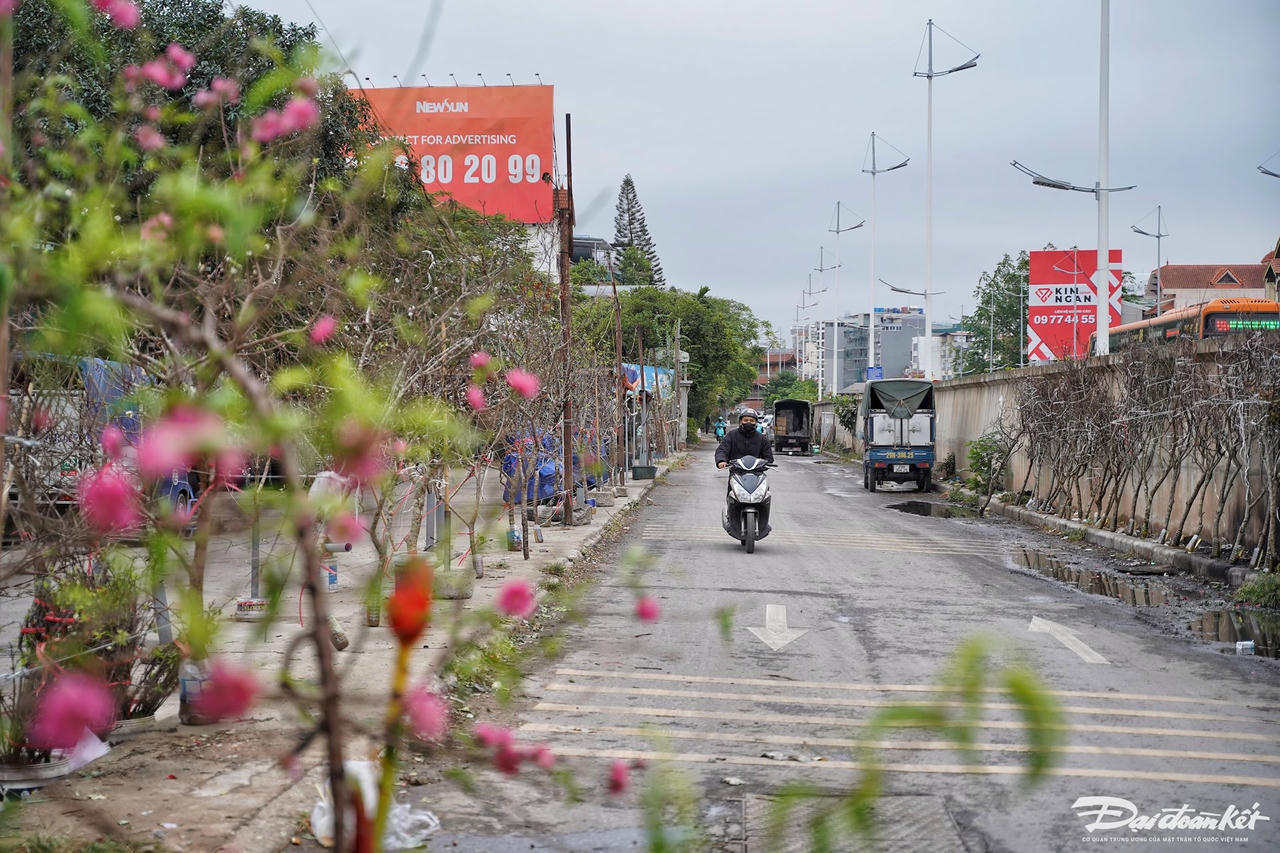 quat_dao-le-khanh12.jpg