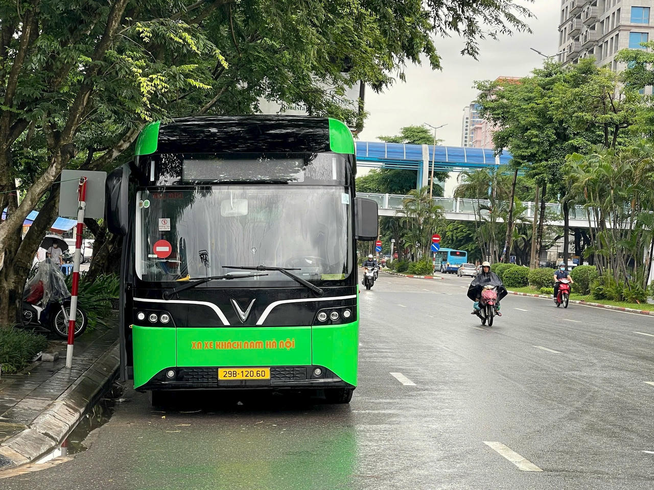 Anh bai tren
