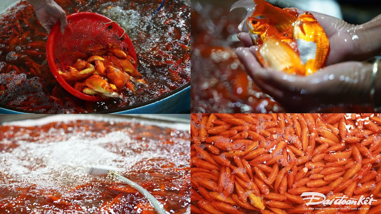 Thiết kế chưa có tên