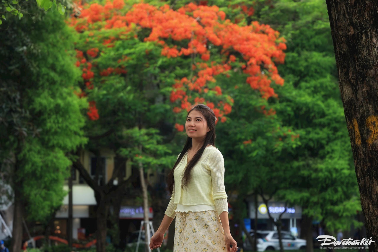 hoa_phuong-le-khanh18.jpg