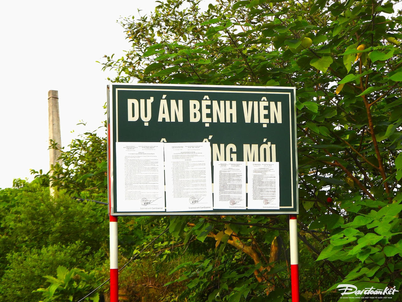 dscn0265.jpg