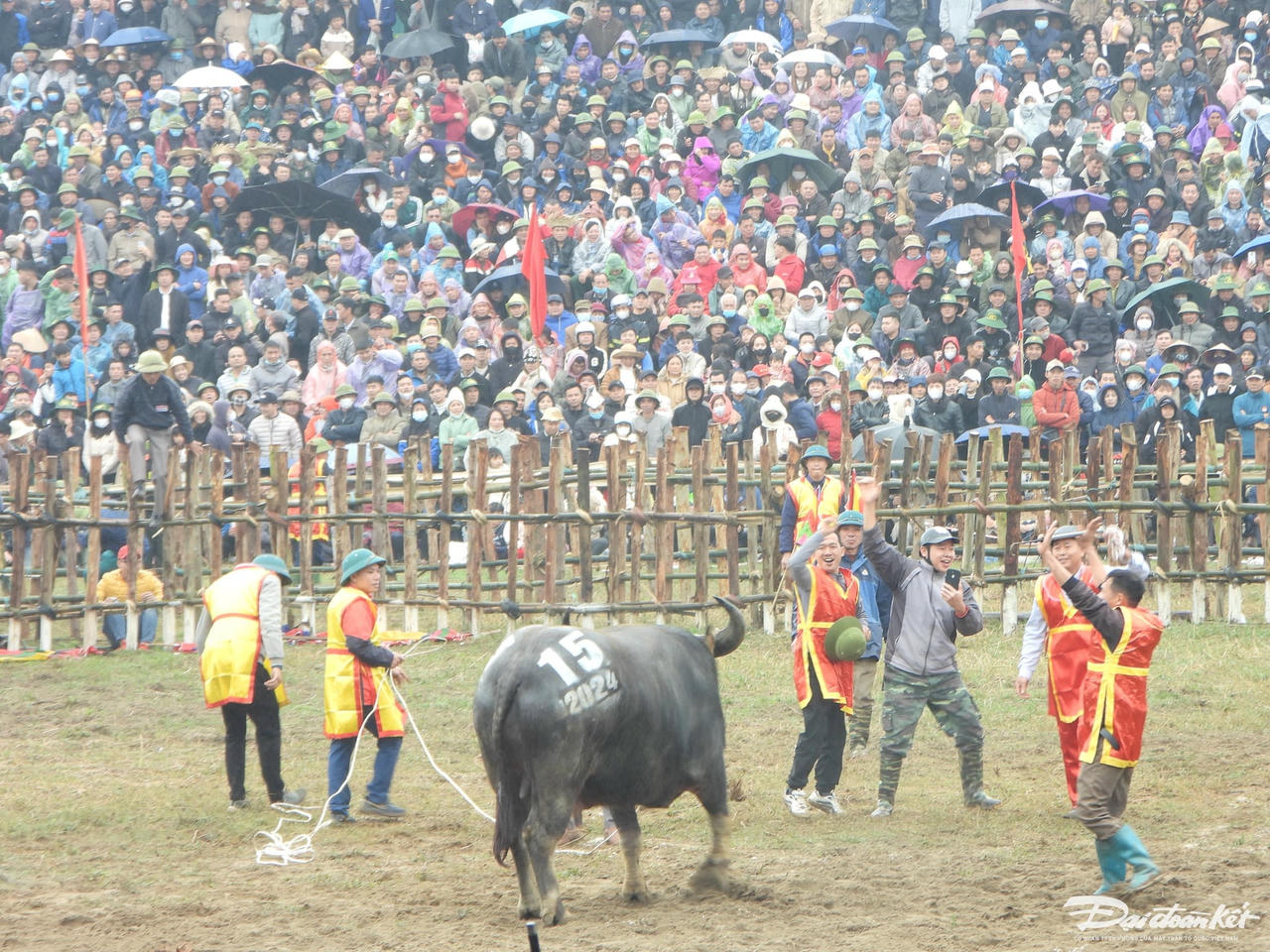 W_dscn8855.jpg