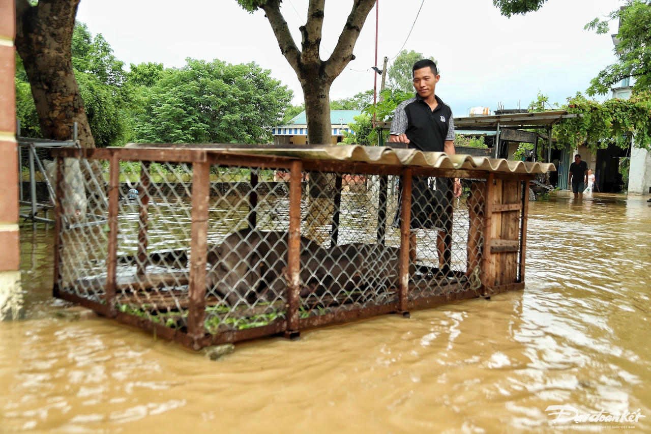 ngap_ung_o_ngoai_thanh_ha_noi-le-khanh22.jpg