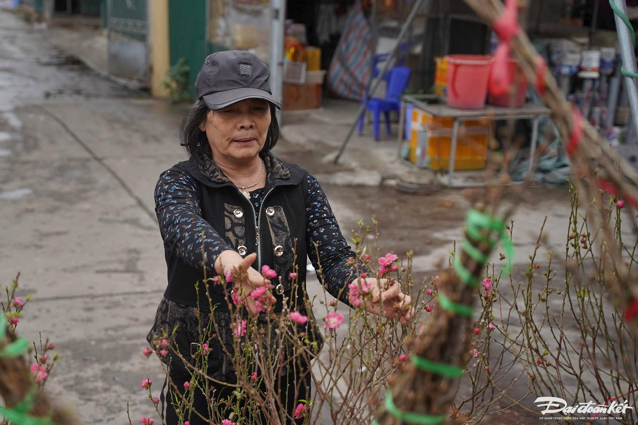 quat_dao-le-khanh19.jpg