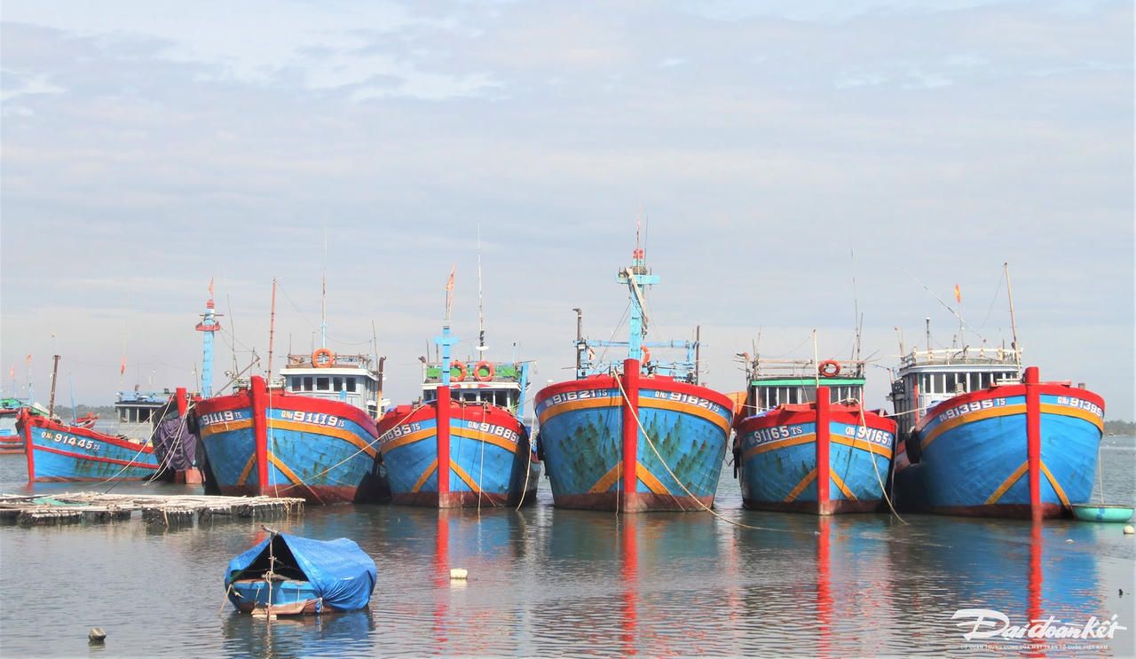 NGU DAN 3