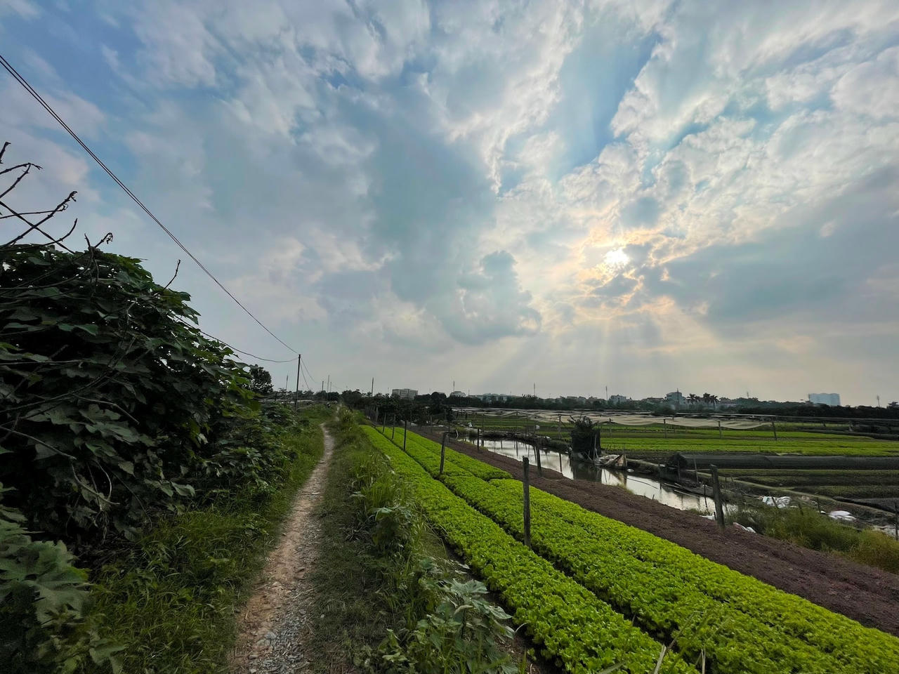 6d4872232fe184bfddf0.jpg