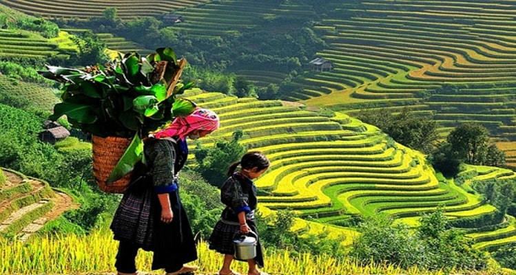 Vài năm trở lại đây, Lai Châu trở thành điểm đến hấp dẫn du khách trong và ngoài nước.