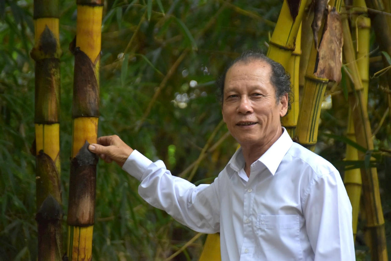 lam-tre-1.jpg