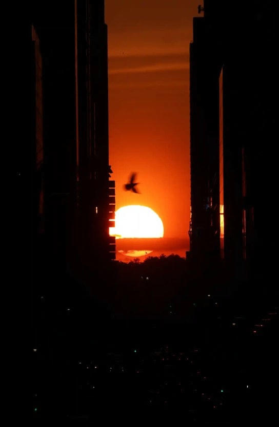 Cảnh hoàng hôn ‘Manhattanhenge’ giữa các tòa nhà, khi nhìn từ Phố 42. Ảnh: Getty Images.