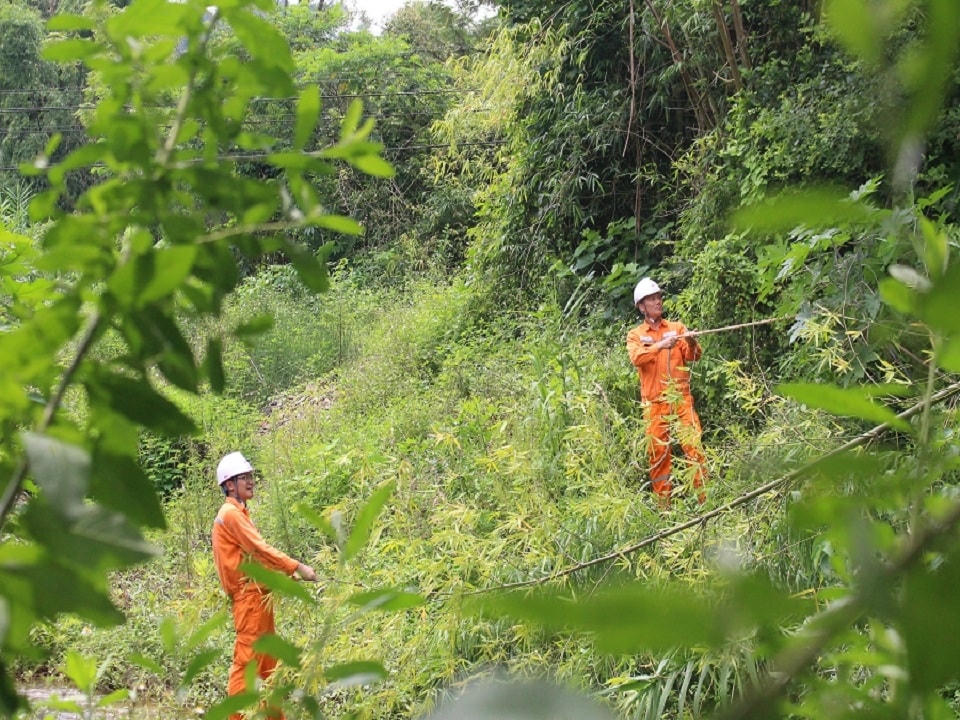 Điện lực Chi Lăng (PC Lạng Sơn) phát quang hành lang bảo vệ hành lang an toàn lưới điện.