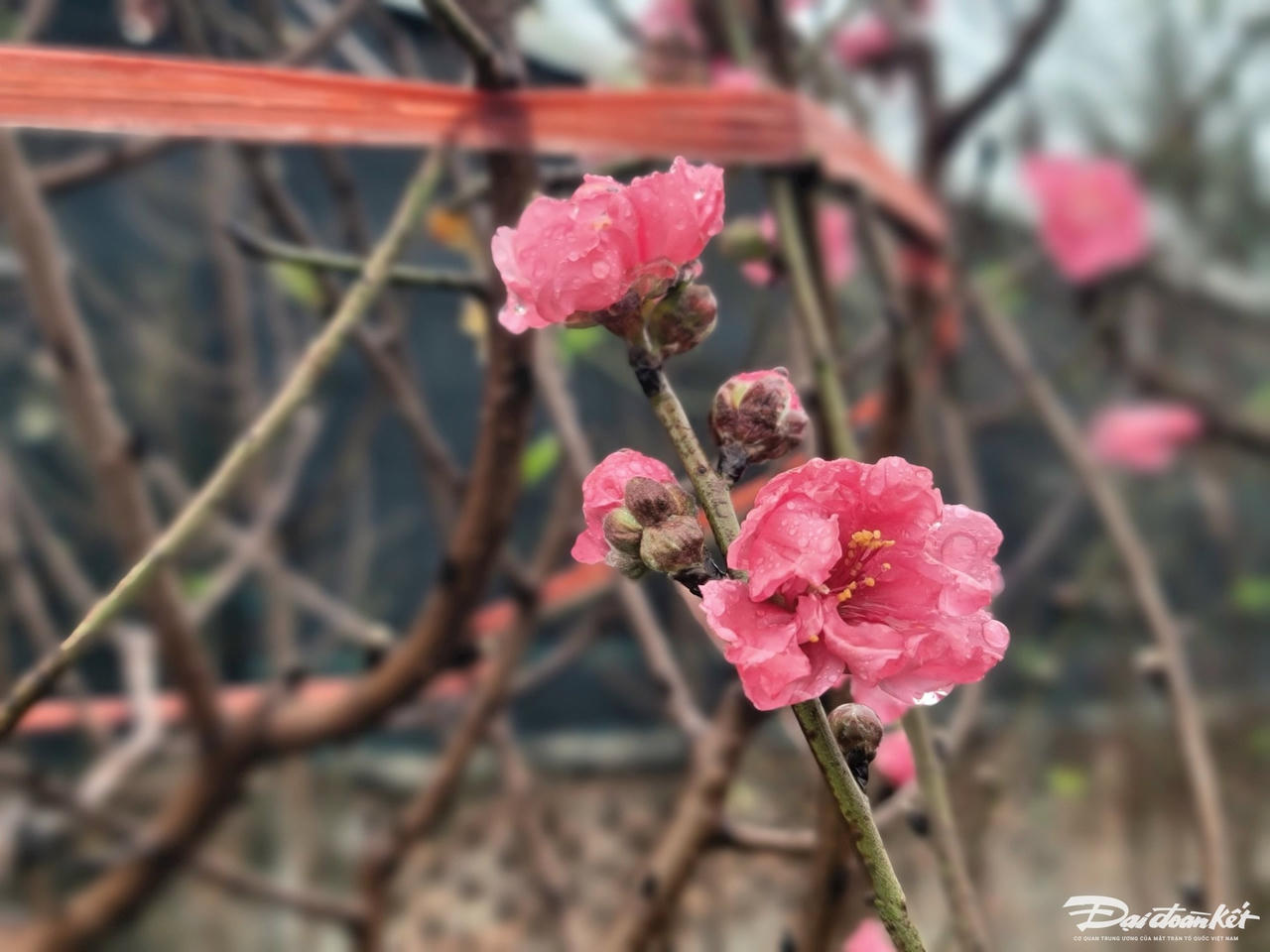 W_48a00f4e4780ecdeb591.jpg