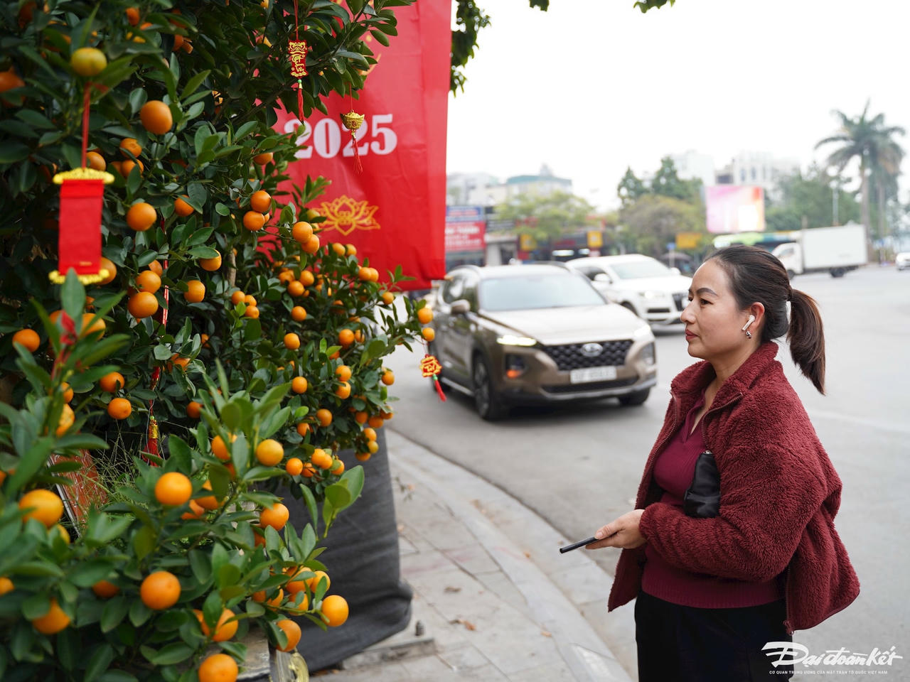 dao_quat-le-khanh19.jpg