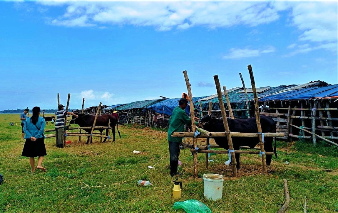 baiduoi.jpg