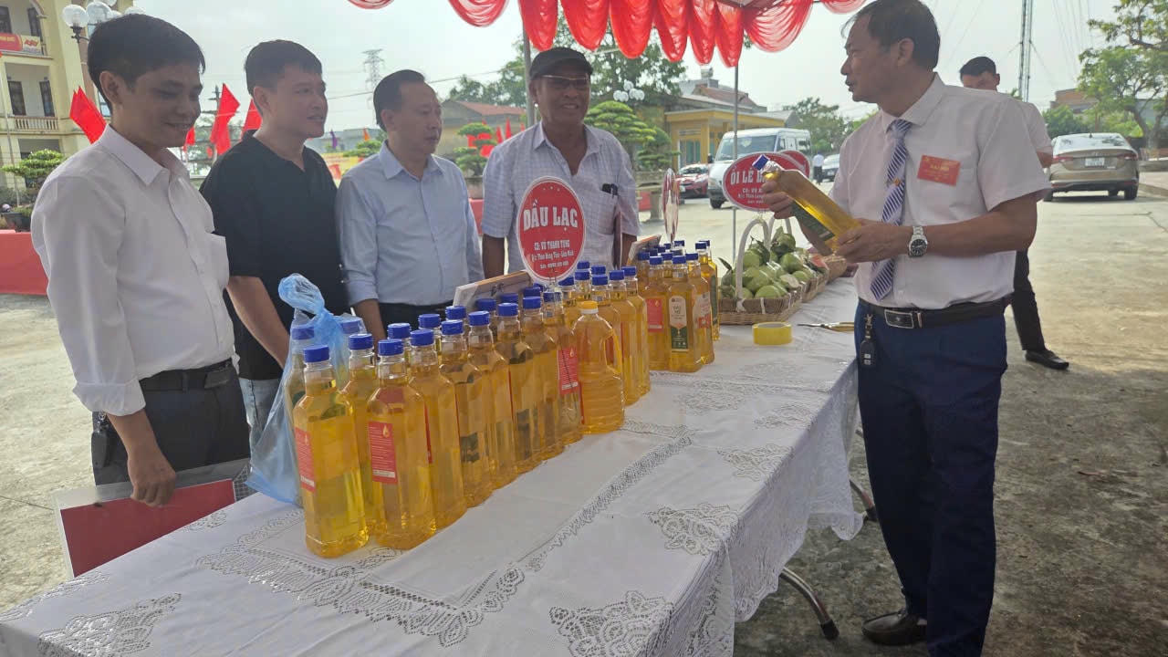 Dầu lạc