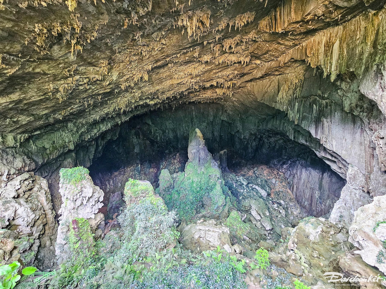 20250716_090333.jpg