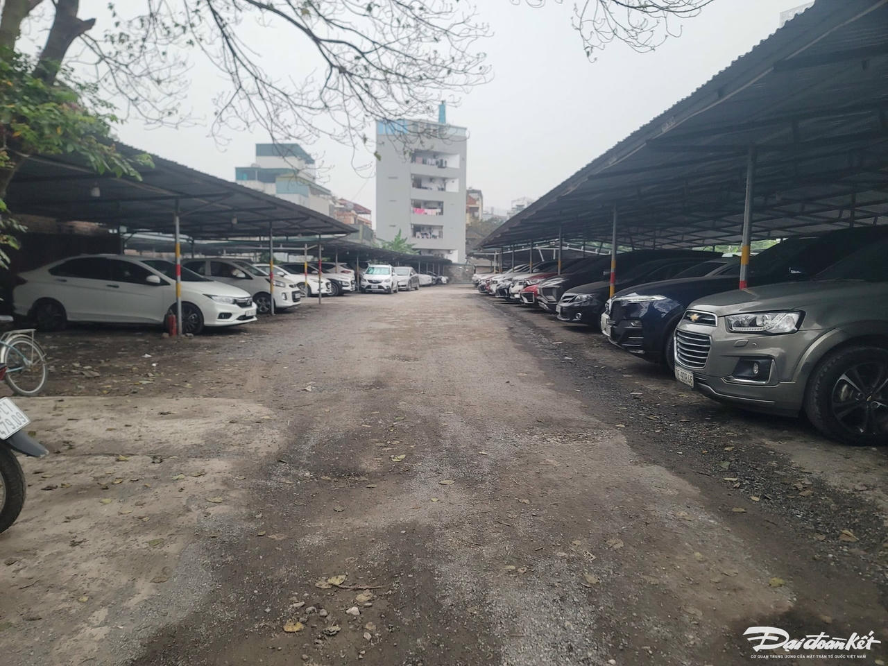 de61187b201a8f44d60b.jpg