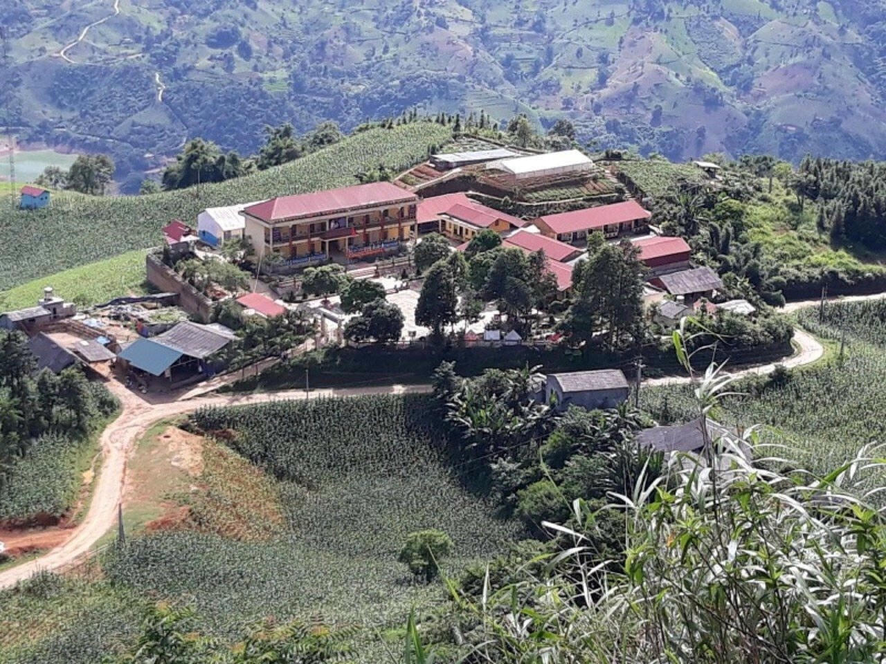 truong-thu-pho.jpg