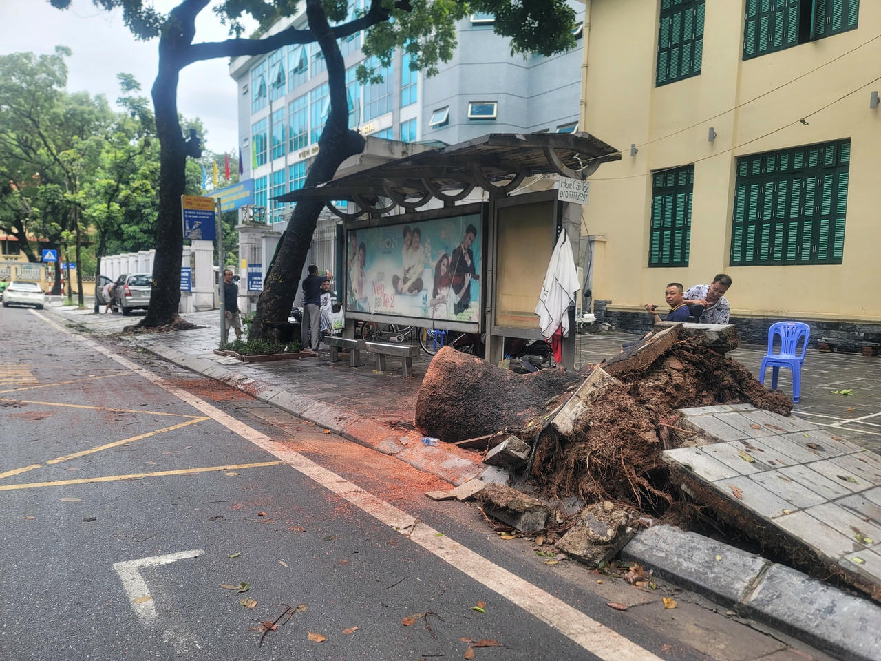 Hiện trường được dọn dẹp, chỉ còn gốc cây. Giao thông trở lại bình thường.