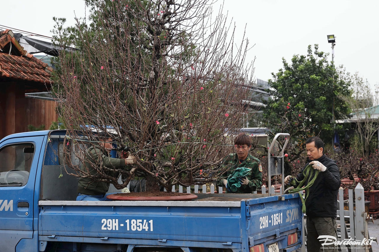 W_dao_nhat_tan-le-khanh1.jpg