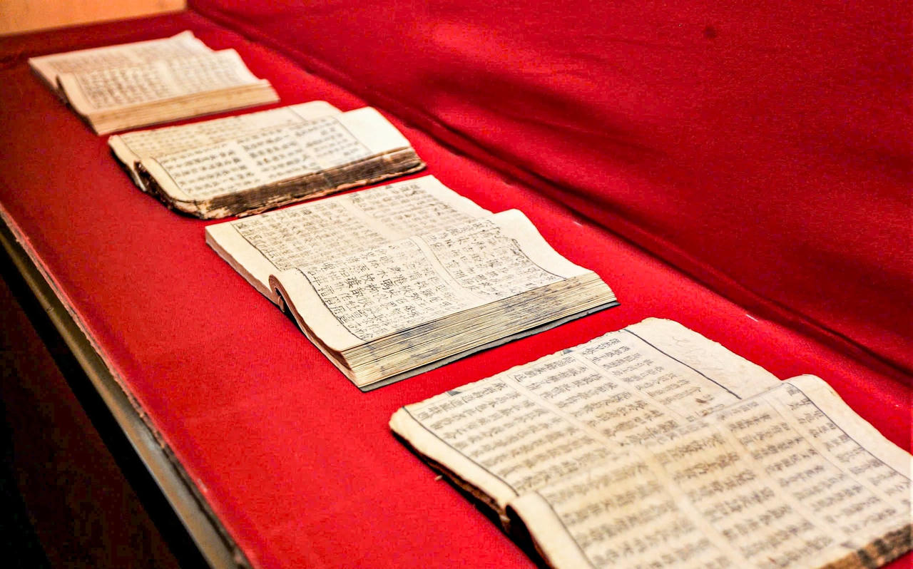 nguyendu18.jpg