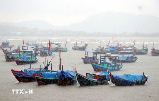 Tàu thuyền về tránh trú bão ở xã Cẩm Nhượng huyện Cẩm Xuyên. (Ảnh: Công Tường/TTXVN) ttxvn-con-bao-so-01-luc-16h-ngay-126-3.jpg
