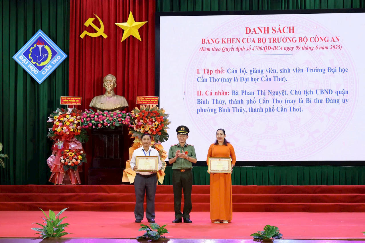 ANH 3