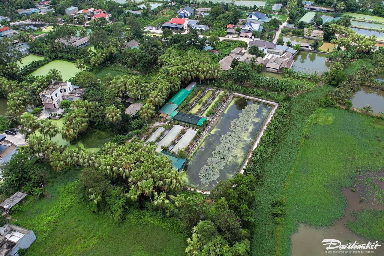dji_0153.jpg
