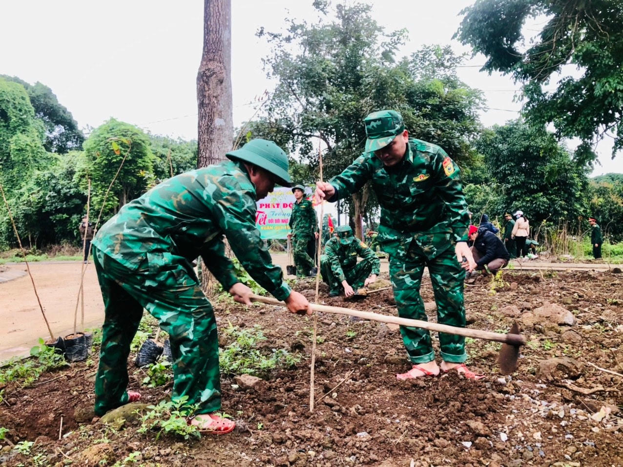 Trong ngày 25/1…