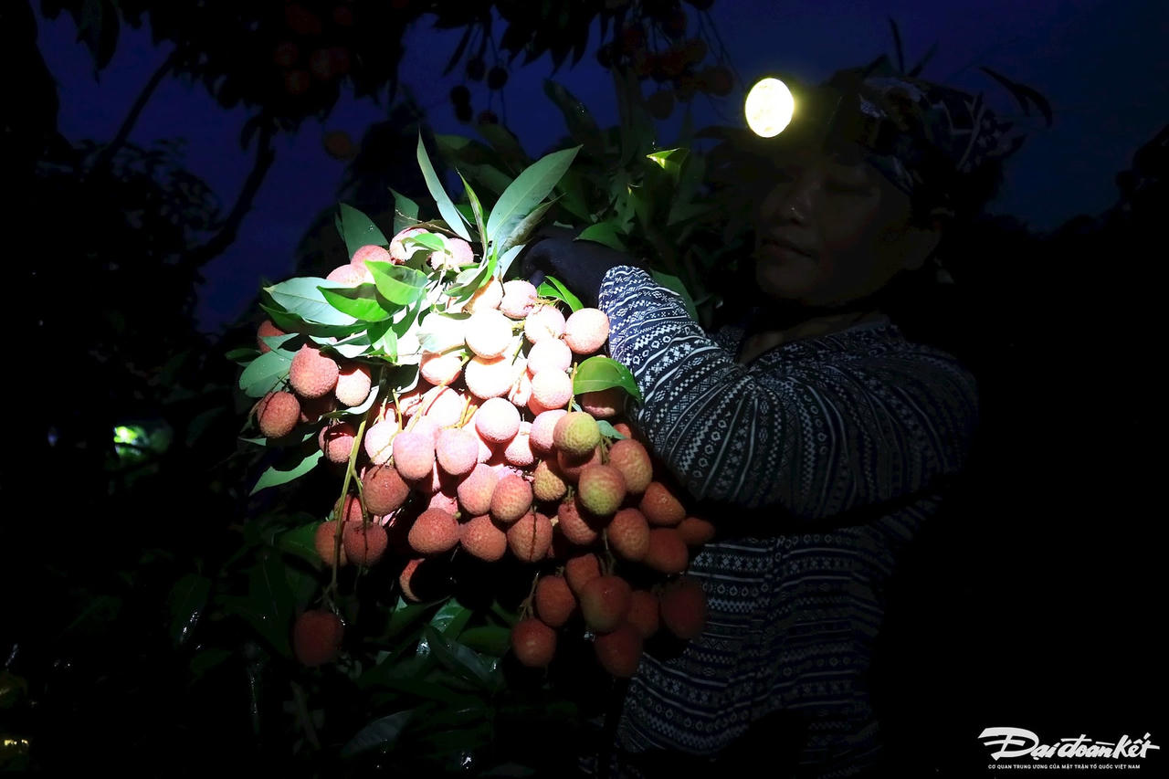 vai_thieu-le-khanh6.jpg