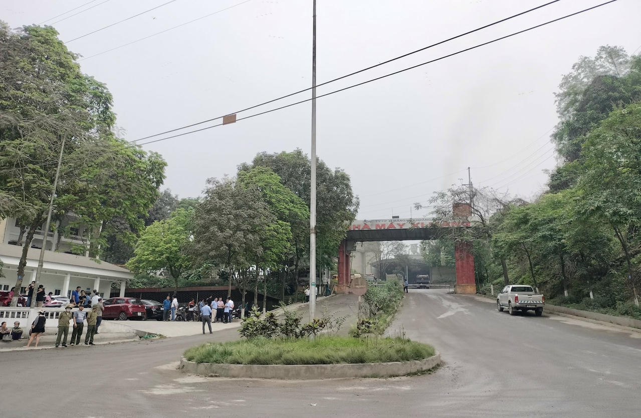 xi-mang-2.jpg