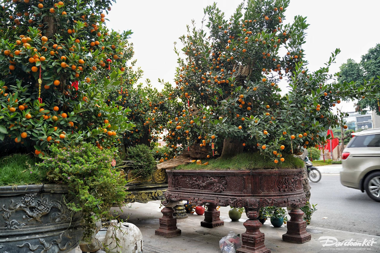 dao_quat-le-khanh26.jpg